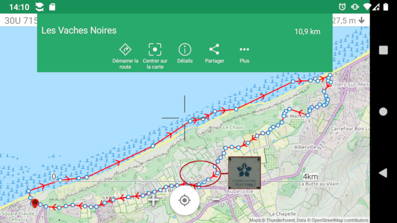 carte vaches noires 800