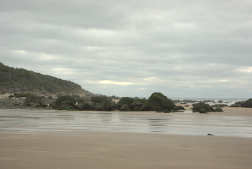 Falaises des Vaches Noires