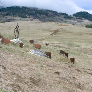 11 - Les moutons