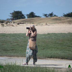 Antoinette Boulanger