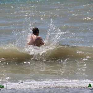 À l'eau !