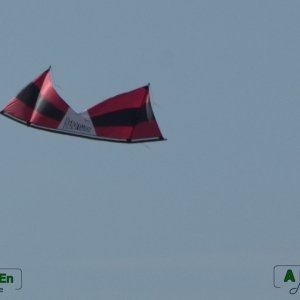 15 - Plage de Houlgate : le cerf-volant (1)