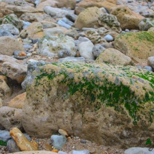 05 - Plage couverte de rochers