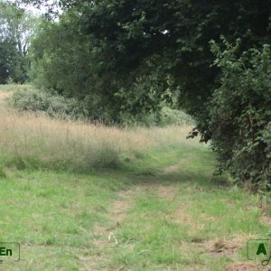 06 - Chemin sur le sentier du littoral