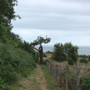 10 - Arbre