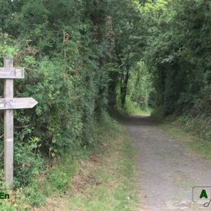22b - Direction la plage de Villers-sur-Mer
