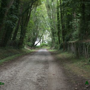 29 - Chemin