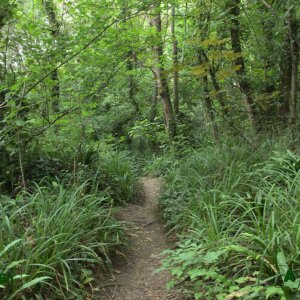 30 - Chemin escarpé