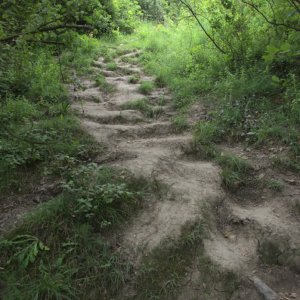 31 - Chemin escarpé