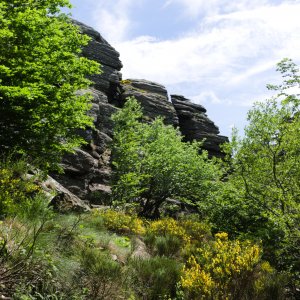 10 - Le saut de Vézoles