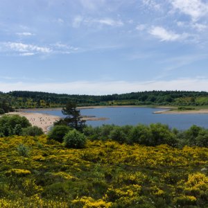 12 - Vue sur le lac