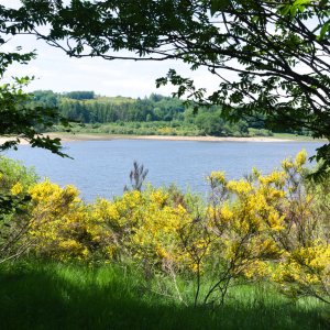 13 - Vue sur le lac