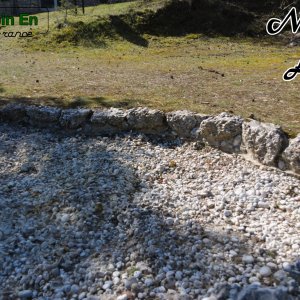 Les cailles (2)