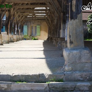 La halle de Méréville (5) les piliers