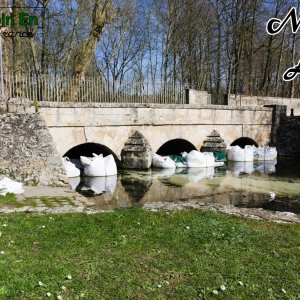 Le lavoir de Méréville (2) le pont