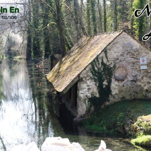 Le lavoir de Méréville (3)